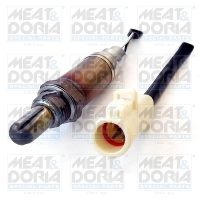Oxygen Sensor